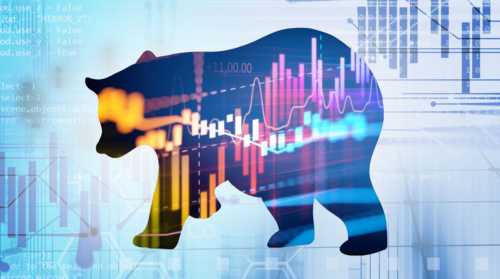 Silhouette of a bear over market performance bar and line charts.
