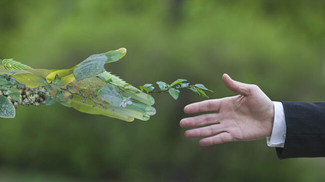 Sustainable-investing Illustration of a hand made of green woodland leaves and vines reaching out to a human hand.