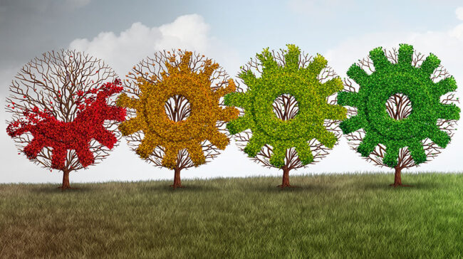 Illustration with four trees shaped in interlocking grids, colored to seasons.
