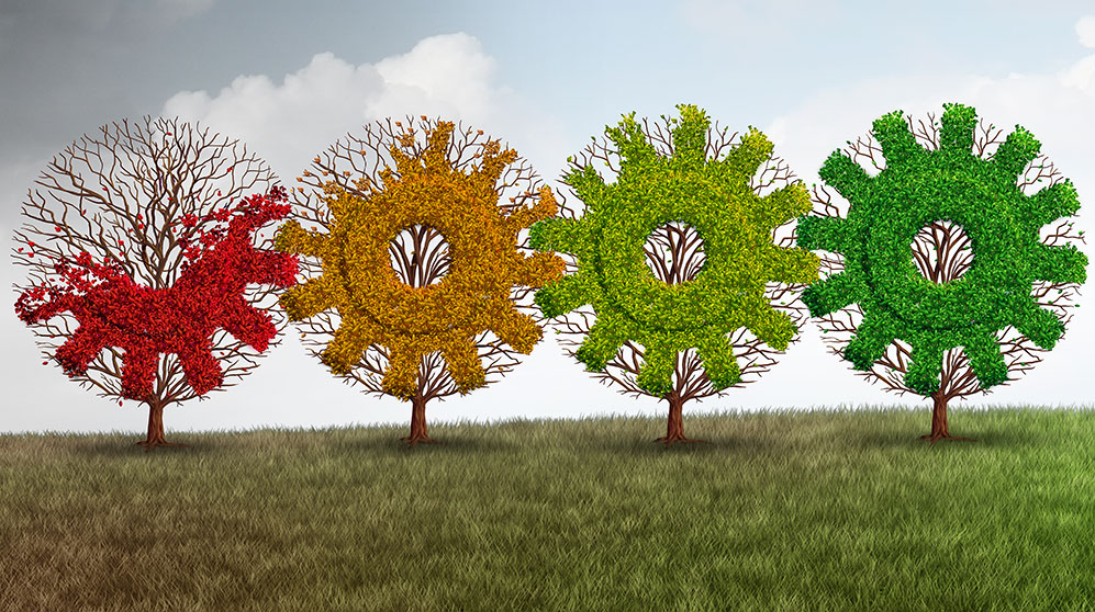 Illustration with four trees shaped in interlocking grids, colored to seasons.