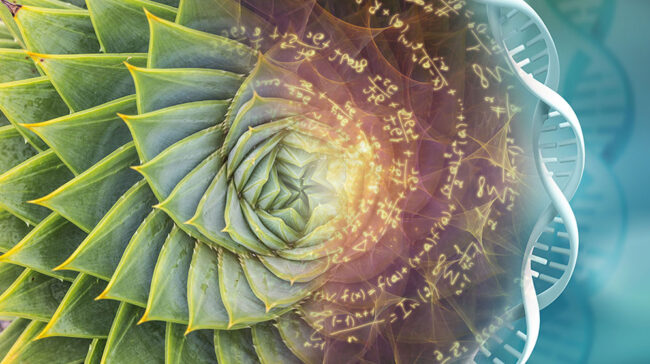 Mashup of a spiral desert plant with genetic code and written calculations.