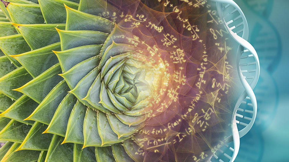 Mashup of a spiral desert plant with genetic code and written calculations.