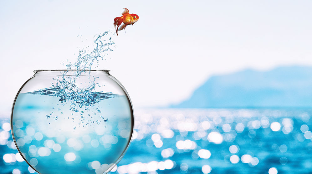 Goldfish leaping out of clear fish bowl