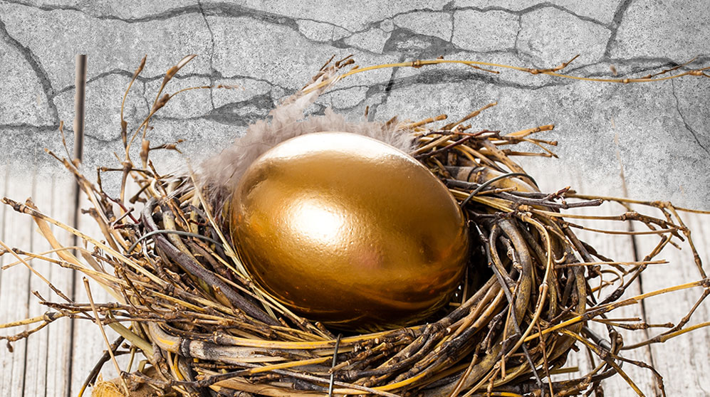 gleaming golden egg in a nest