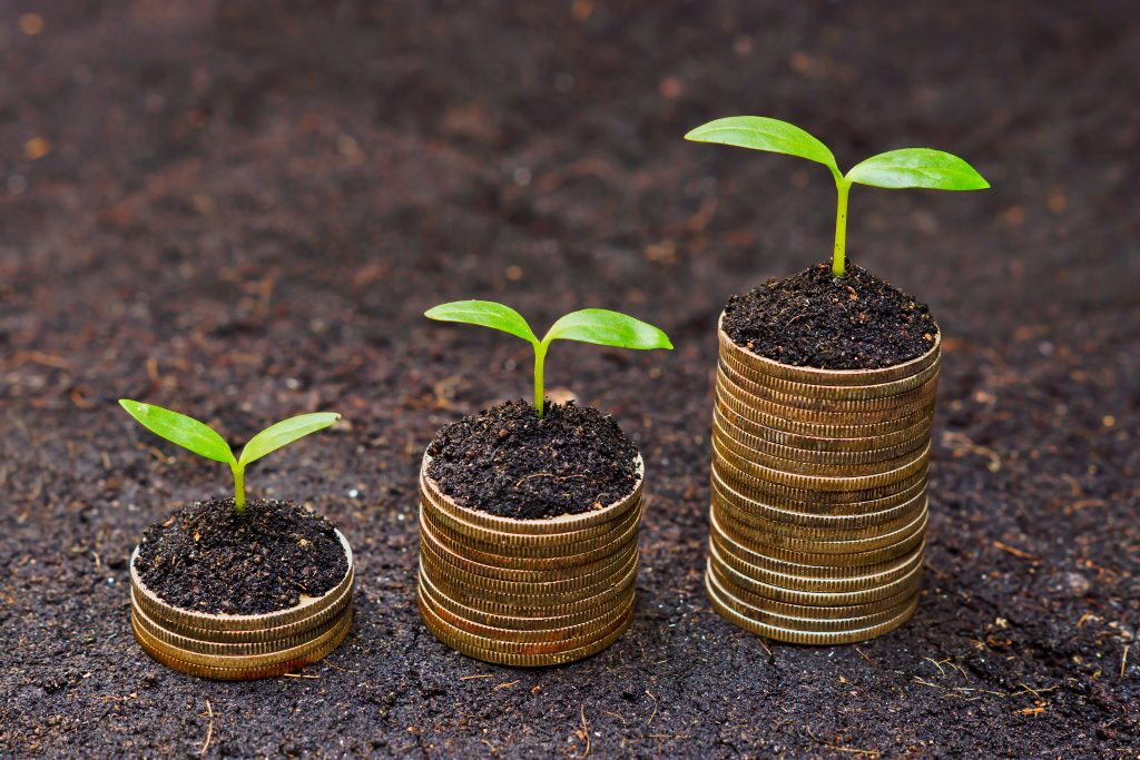 stacks of coins in dirt growing plants