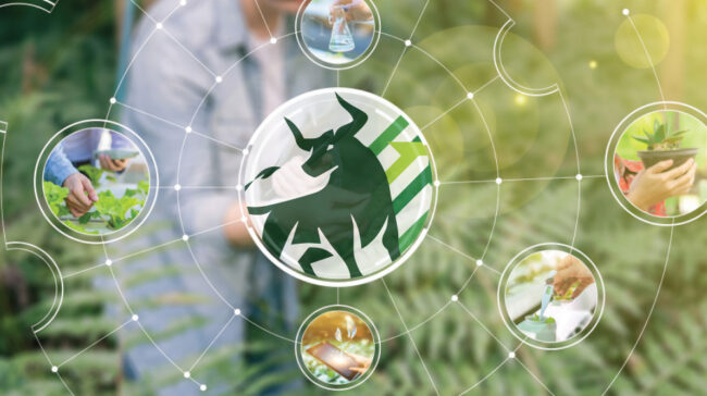 Looking for the next bull market? Drill down on natural resources.