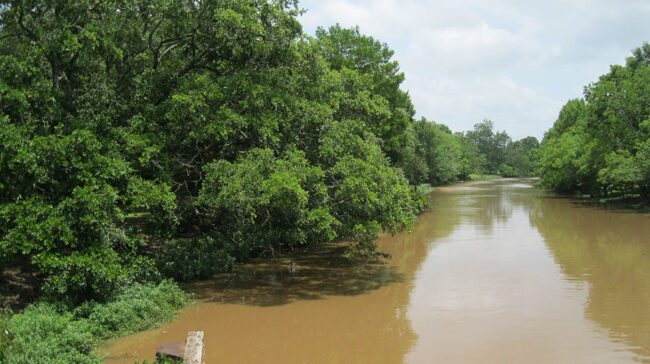 Photo of muddy water