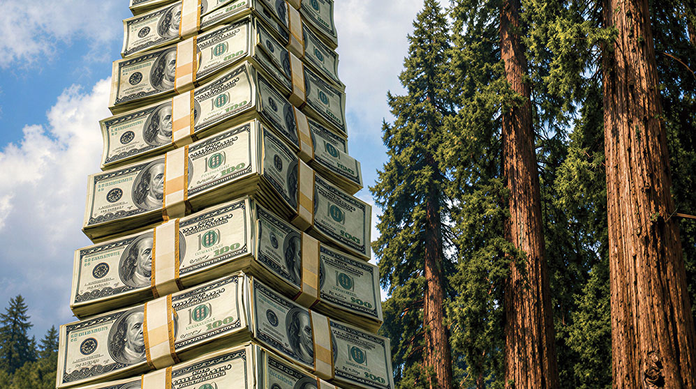 Photo of money stacked high to the sky